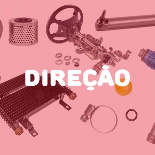 Direção